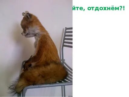 Не сил больше ждать
