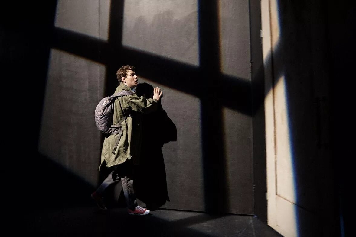 Современник ночное убийство собаки. Современник собака. Загадочное ночное убийство собаки фильм 2012. Загадочное убийство собаки фильм. Загадочное ночное убийство собаки спектакль.