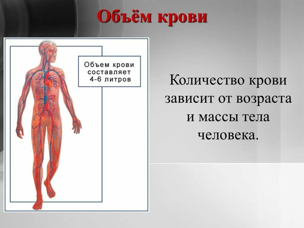 Сколько л крови. Сколько литров крови в человеке 70 кг. Сколькоткрови в целовек. Сколько литров Колви у человека.