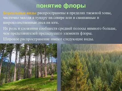 Понятие флоры