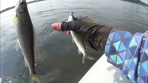 Вести с водоема кузбасс