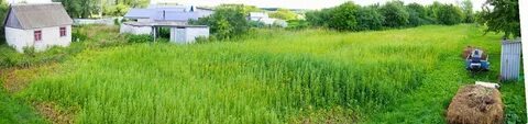 Заовражный каратай