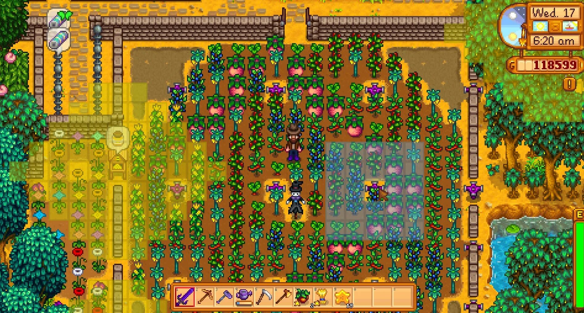 Джунимо stardew valley. Стардью валли домик джунимо. Stardew valley радиус. Улей stardew valley. Домик джунимо stardew valley радиус.