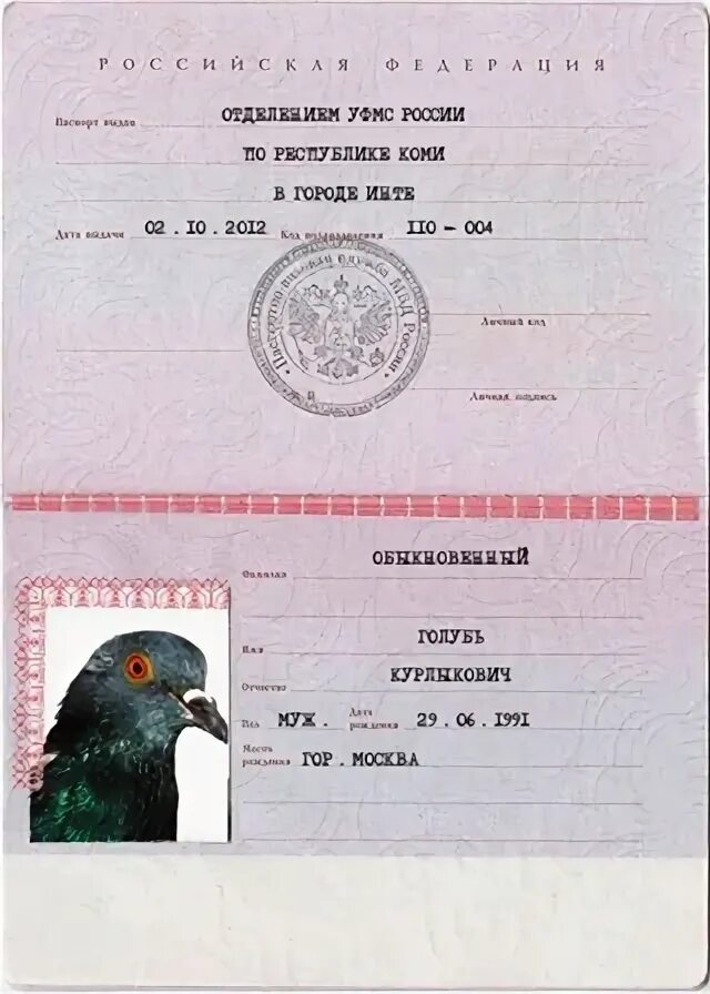 Голубей фамилия. Гулька птица. Голубь с подписью. Пиджеон голубь. Golubi family irina.