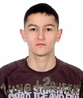 Ли павлович