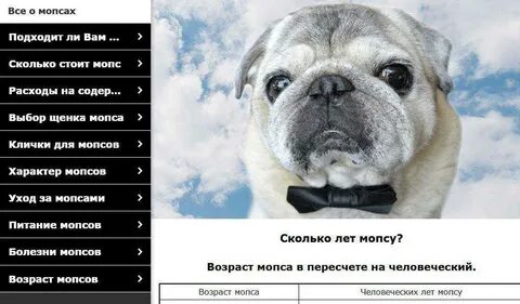 Сколько весит мопс