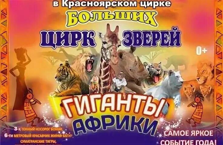Программа цирка больше меньше