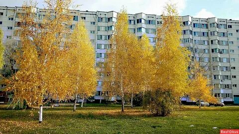 Погода в набережных челнах на ноябрь
