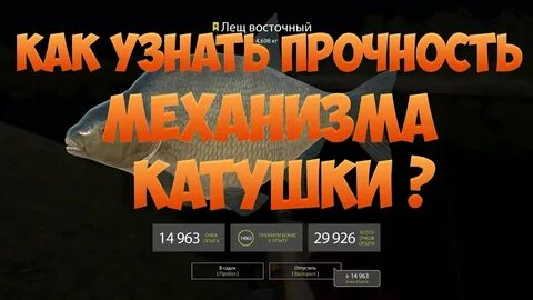 Рр4 катушки
