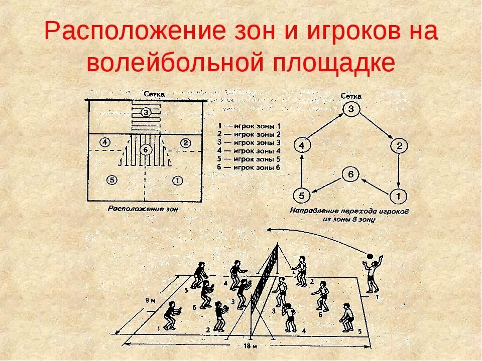 Расположение игроков в волейболе на площадке. Площадка игры в волейбол и расстановка игроков. Амплуа и расстановка игроков на площадке в волейболе. Порядок расположения игроков в волейболе.