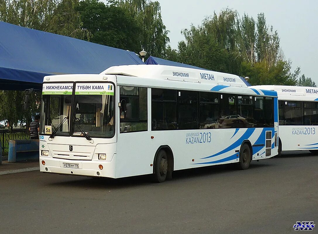Р 278