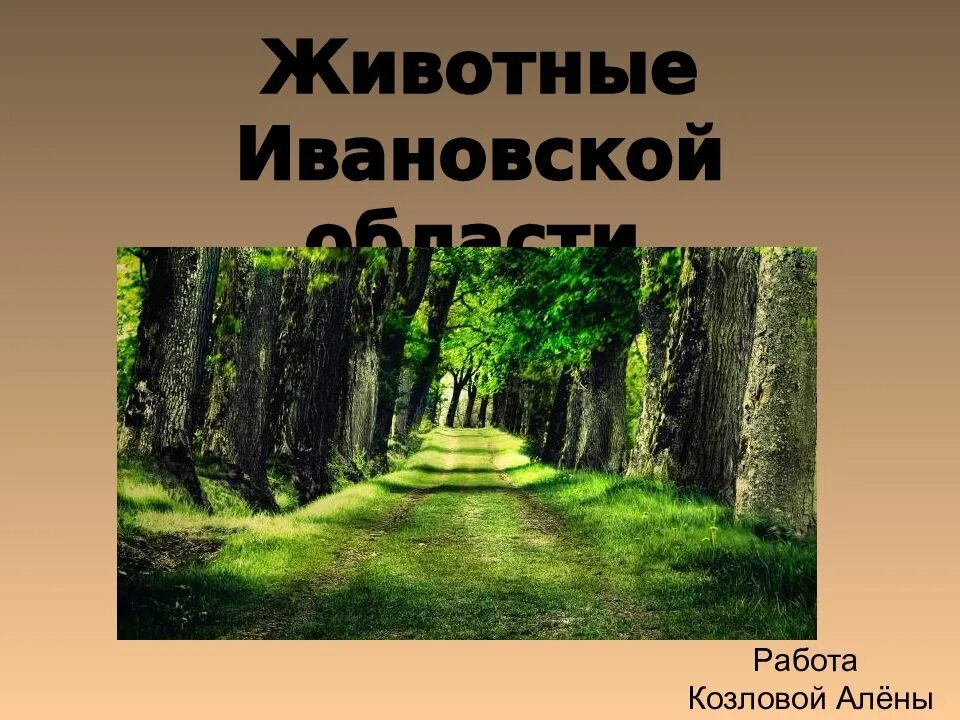 Животные ивановской области. Звери Ивановской области. Разнообразие животных Ивановской области. Растительный и животный мир Ивановской области. Разнообразие природы Ивановской области.