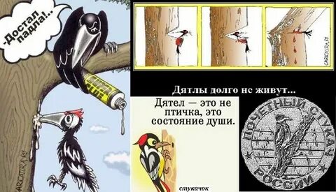 Включи дятел