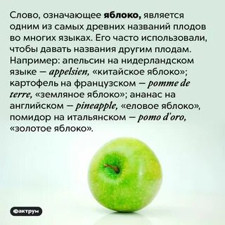 Что значит яблоня