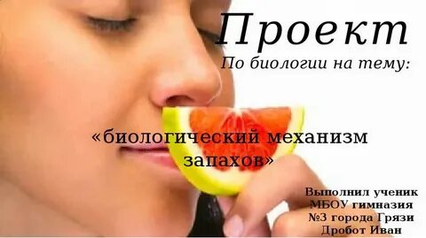 Проблема запахов