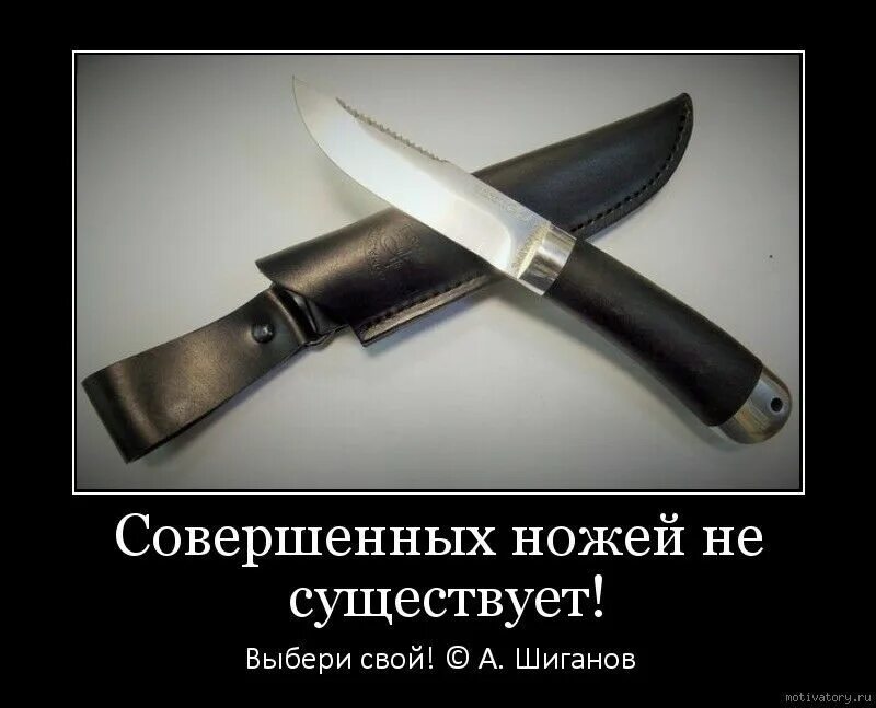 Вокруг ножевые. Юмор про ножи. Афоризмы о ножах. Цитаты про нож.
