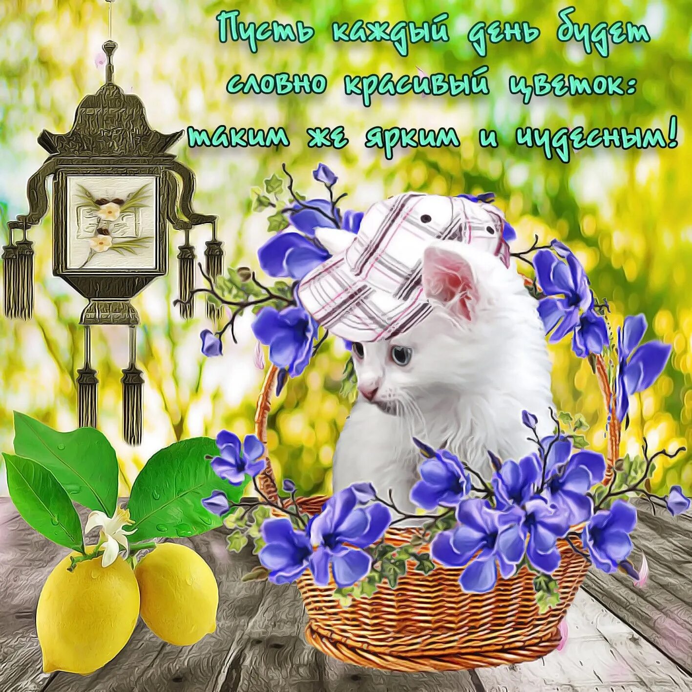 Самого лучшего сегодня