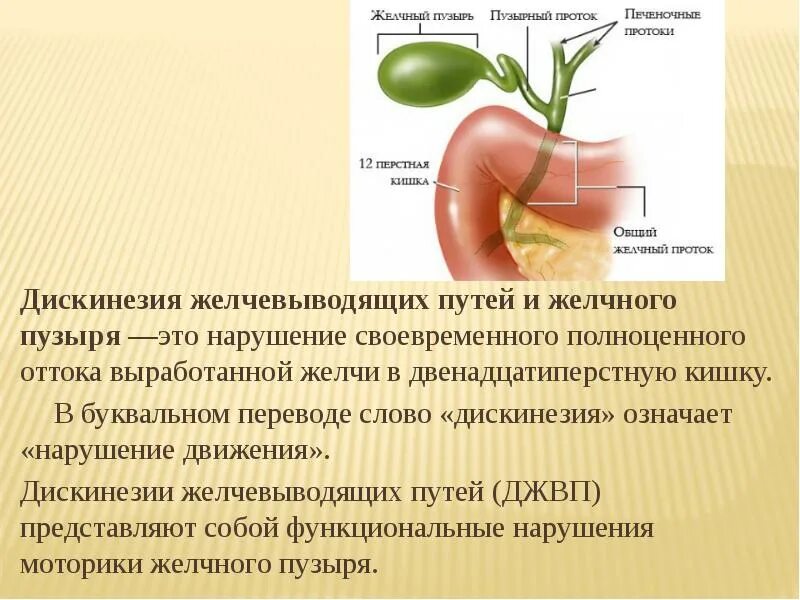 Можно ли вылечить желчный пузырь
