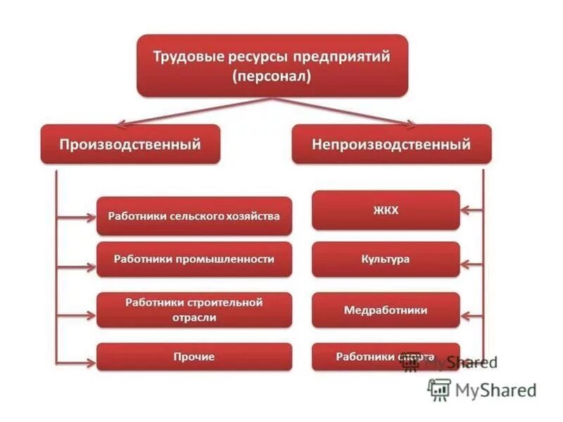 Кому принадлежали промышленные предприятия. Схема трудовых ресурсов предприятия. Виды трудовых ресурсов предприятия. Трудовые ресурсы предприятия виды. Трудовые ресурсы предприятия схема.