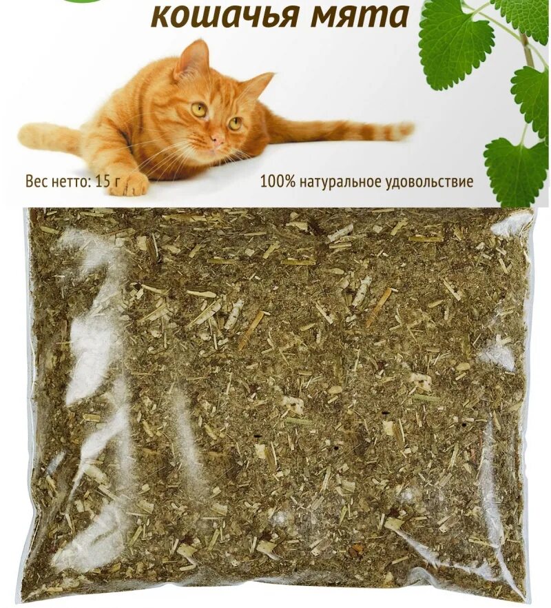 Можно котам валерьянку