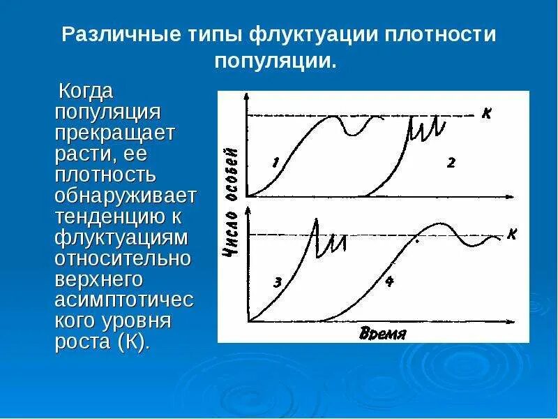 Флуктуация в медицине. Флуктуации схема. Экотопические флуктуации. Флуктуация плотности. Понятие о флуктуациях.