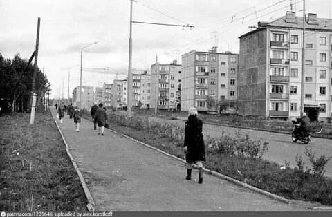 Индекс бела куна