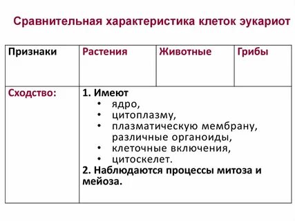 Признаки клетки и характеристики