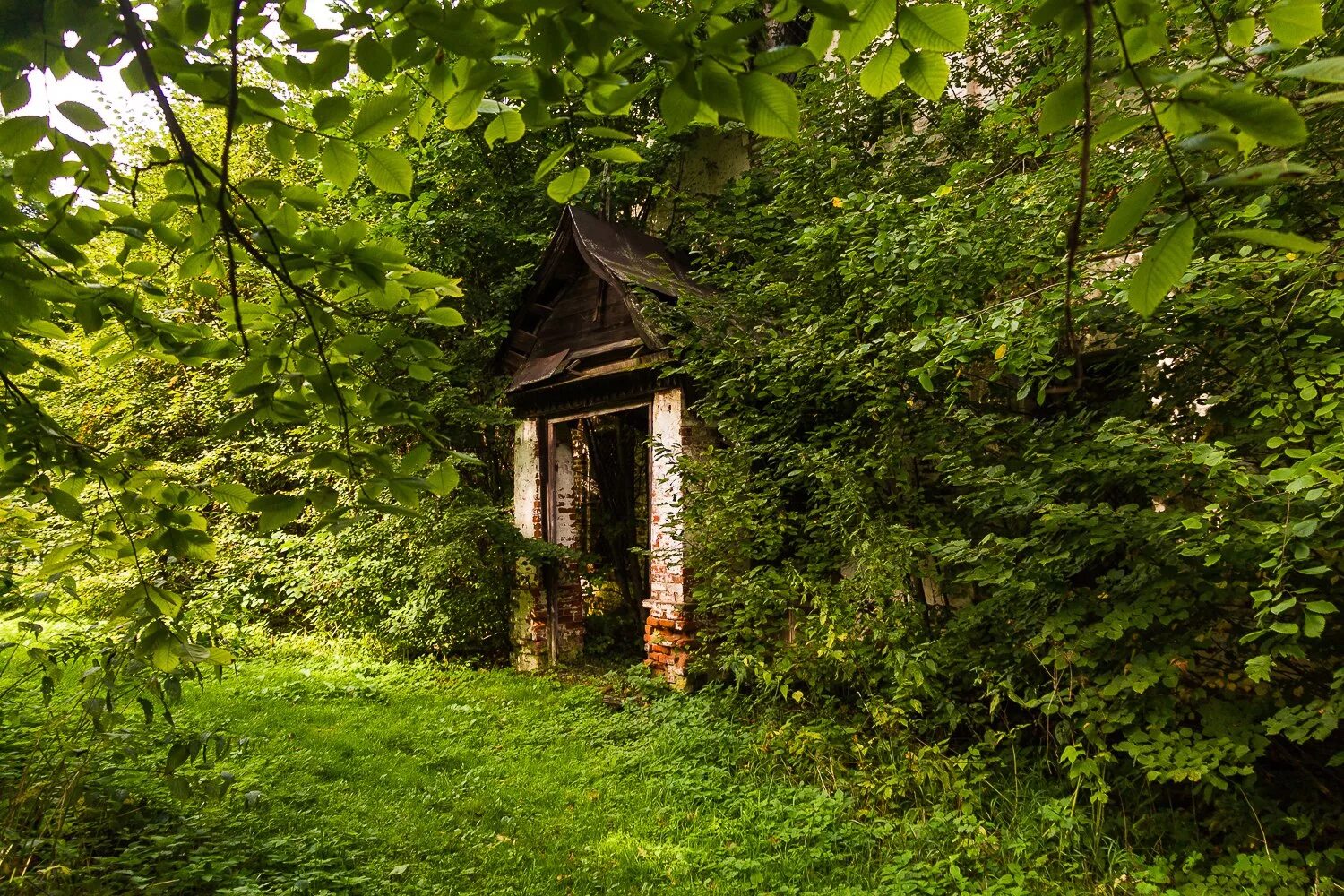 переулок был весь в садах. у заборов росли липы бросавшие теперь. петровский парк озеленение. запятые в ссложном предл. морозовский садик в москве.
