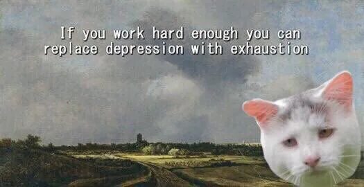 If you had worked hard. Depression with exhaustion. Enough meme. When you worked hard and Now Shocked depression.