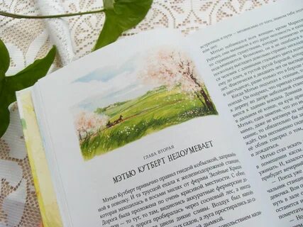 Зеленая крыша книга
