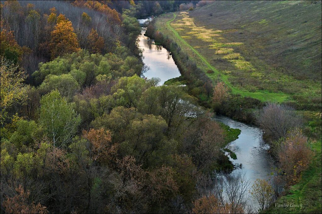 природа липецкой области проект. родной липецкий край. река мельгуновка приморский край. растительный мир липецкой области. родной край картинки.