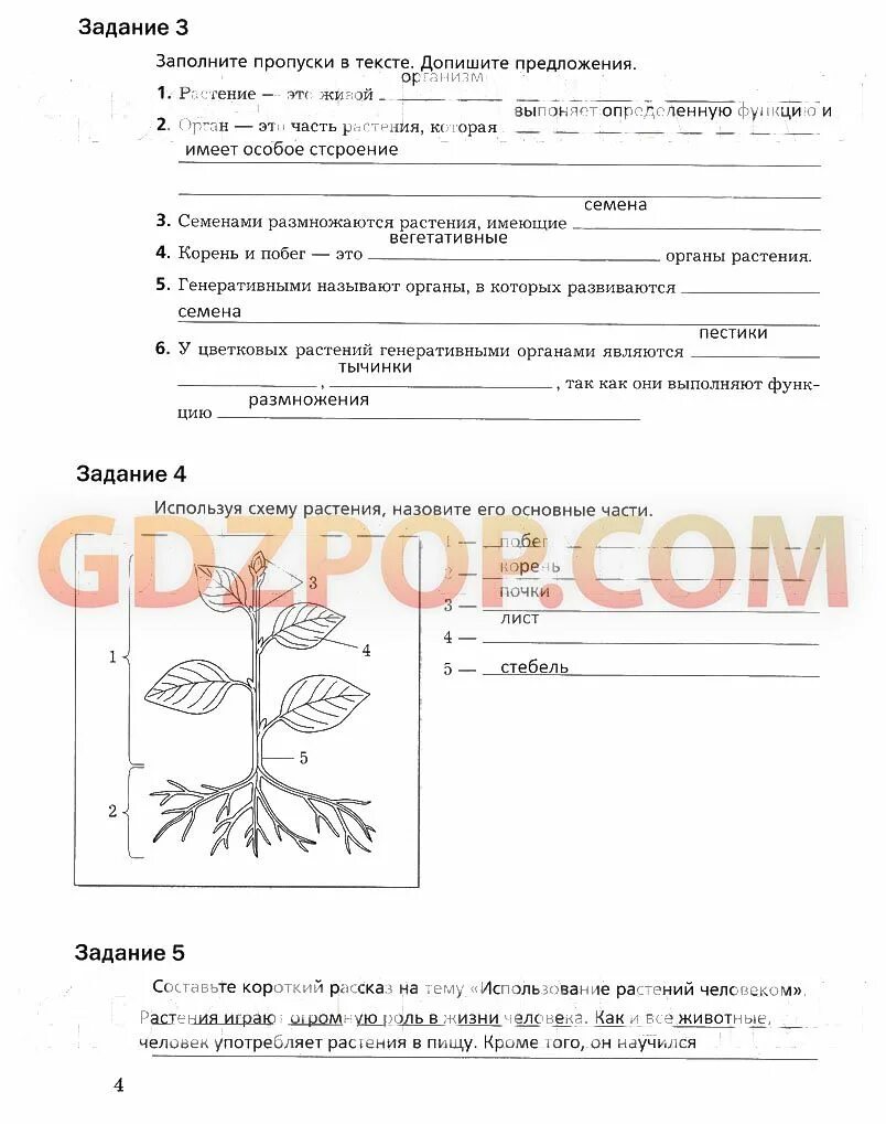 Задания по биологии 6 класс Пономарева. Рабочая тетрадь по биологии 6 класс Пономарева. Лабораторная работа 6 класс Пономарева. Заполните пропуски в тексте допишите предложения. Лабораторная работа 5 биология 9 класс пономарева