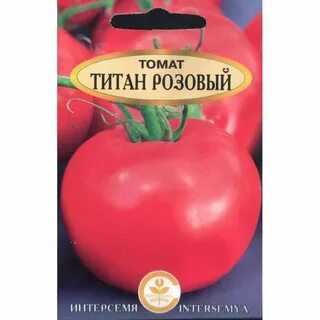 Томат титан характеристика фото