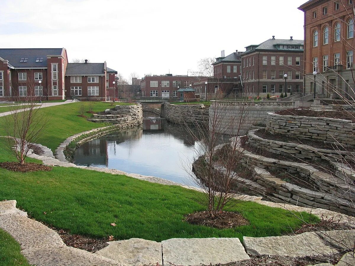 Img area