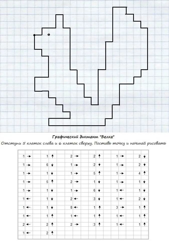 Графический диктант белка для дошкольников. Графические диктант для детей подготовка к школе. Клеточный диктант. Математический диктант 1 класс по клеточкам. Графич диктант для дошкольников.