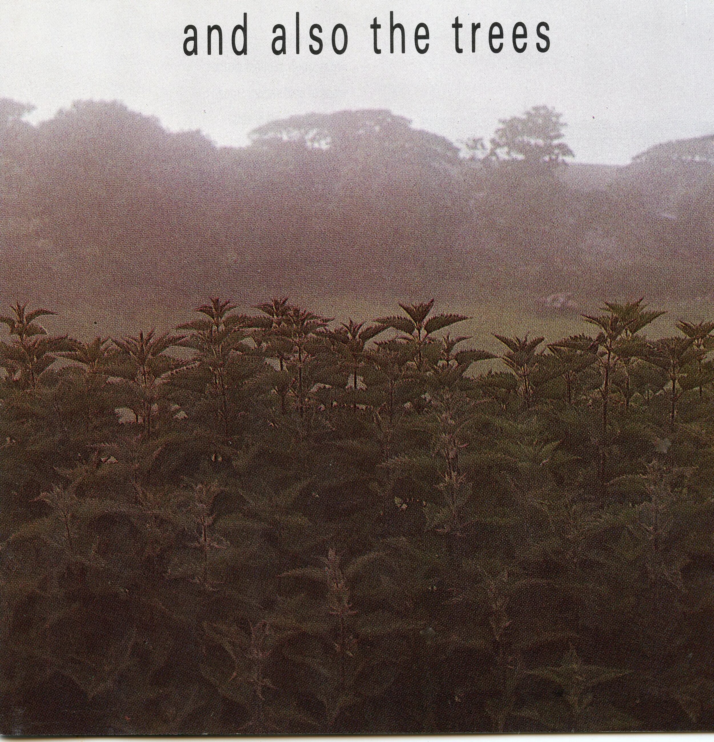 Skeletal family группа. Screaming trees uncle anesthesia. Screaming trees discography. Группа глум солистка. Screaming trees nearly lost you.