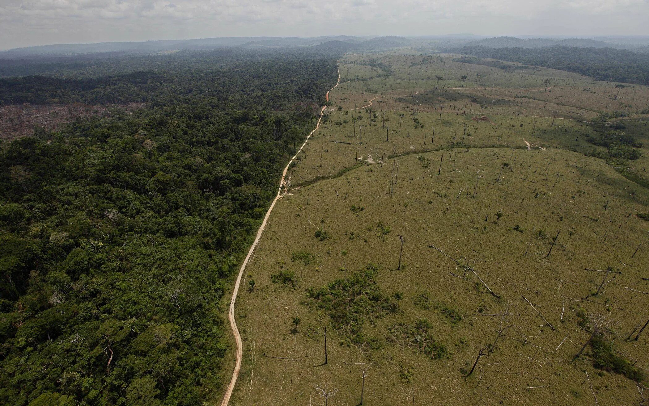Вырубка леса в Амазонии. Обезлесение Бразилии. Вырубка лесов в Бразилии. Вырубка тропических лесов Амазонии. Amazon borneo congo