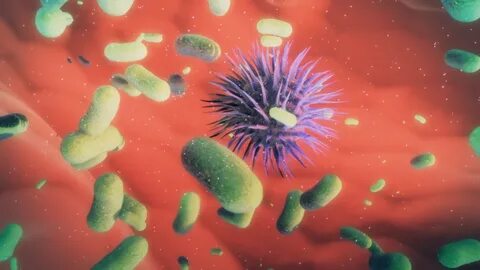 Микробикинидегі қыздың порнофотосуреттері