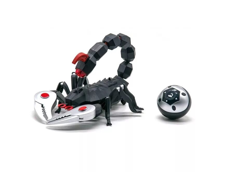 R scorpion