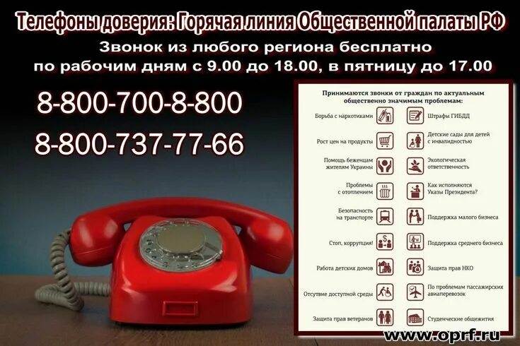 Все горячие линии россии. Горячая линия общественной палаты РФ. Горячая линия РФ. Горячая линия президента. Номер телефона горячей линии президента.