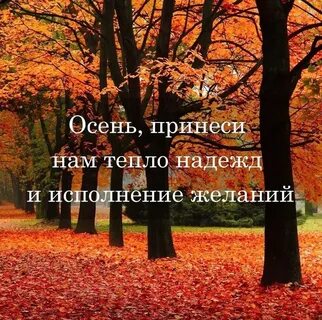 Про теплый сентябрь цитаты