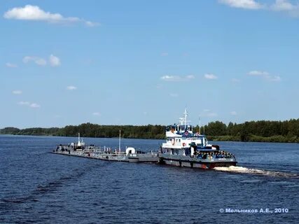 Волгарь кострома