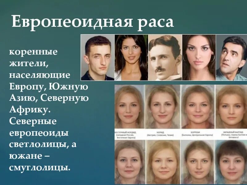 Европиод. Европеоидная раса. Европейский Тип внешности. Европейская раса. Европейцы внешность.