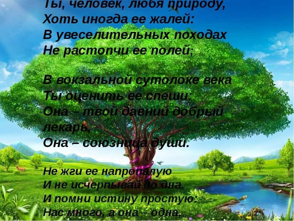 Как называют человека любящего природу