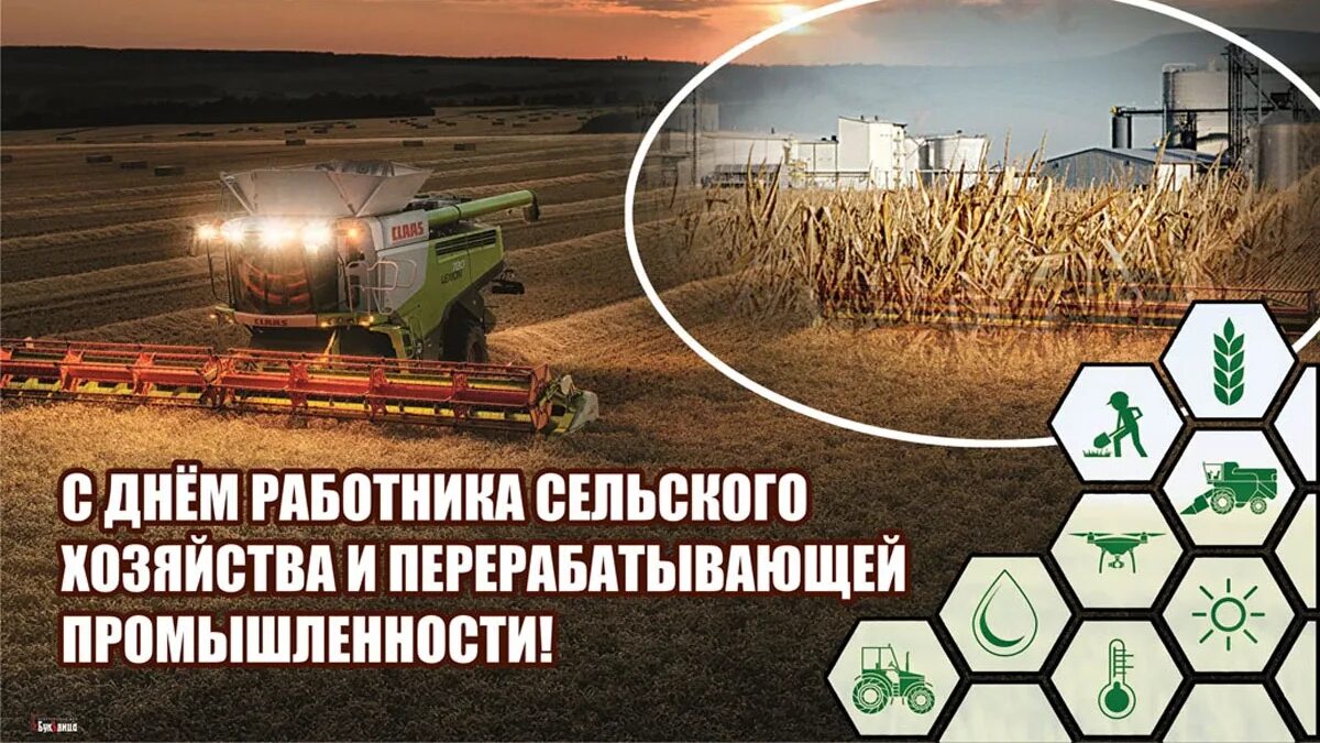 День сельхозработника 2025 какого числа. День сельхозработника 2025 какого числа