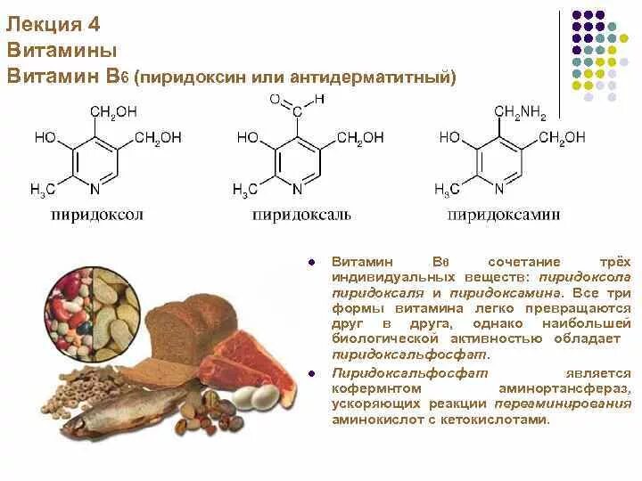 B6 пиридоксин. Коферментная форма витамина в6. Витамин б6 биохимия. Витамин b6 биохимия. Витамин б6 строение.