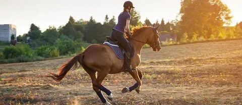 Raws riding