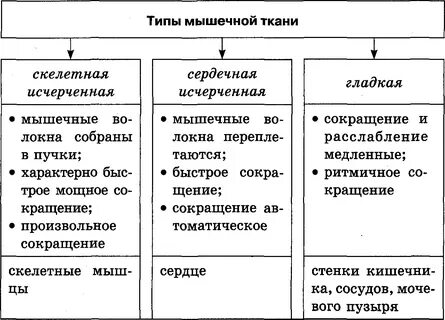 Таблица сравнительная характеристика разных видов мышечной ткани