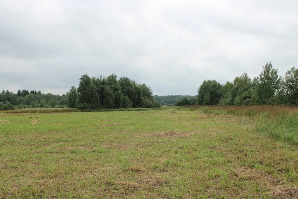 Крестьянско-фермерское хозяйство в рф. Земли сельхозназначения кфх. Крестьянско-фермерское хозяйство в рф. Фермеры кфх. Земли сельхозназначения кфх.