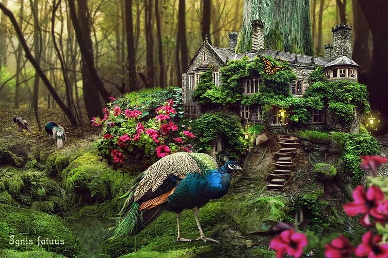 Рут сандерсон (ruth sanderson). Fairy tales download. Fairy tales download. Fairy tales download. Fairy tales download.